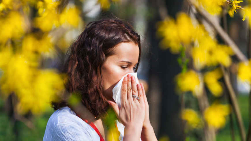 Siitepölyallergikkojen on tärkeä aloittaa hoito jo kevättalvella, kun ensimmäiset oireet muistuttavat itsestään. Kuva: Shutterstock